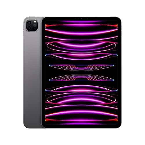 Apple 2022 11' iPad Pro (Wi-Fi, 128 GB) - Space Grau (4. Generation)